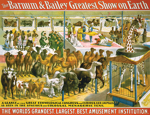 Barnum & Bailey: Curious Led Animals