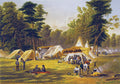 Confederate Camp