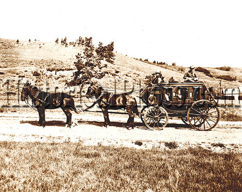 Yellowstone Stagecoach