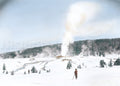 Giantess Geyser in Winter 1